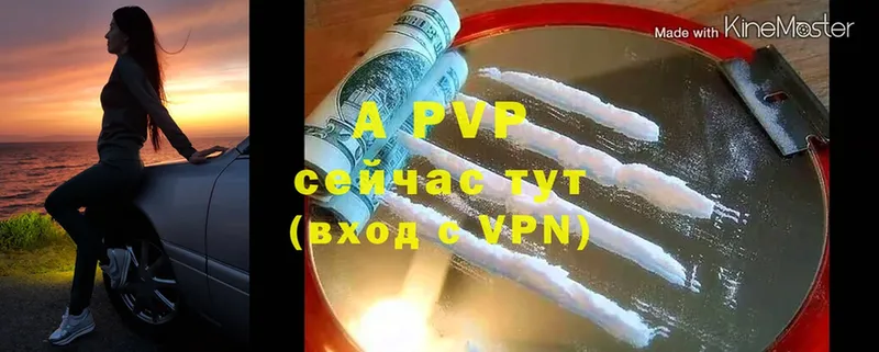 OMG как зайти  Вологда  Alfa_PVP VHQ  закладки 